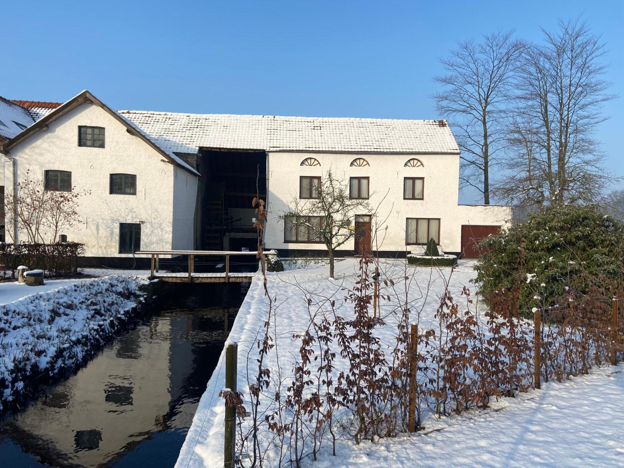 Vakantiewoning Wurfeldermolen Maaseik Esterno foto